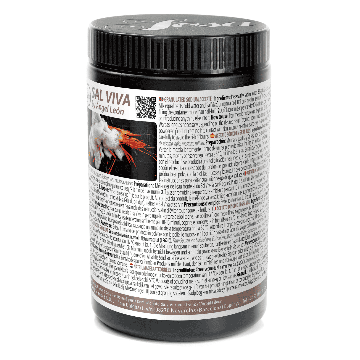 SOSA Sal Viva (Salt Alive) by Angel Leon (700g)