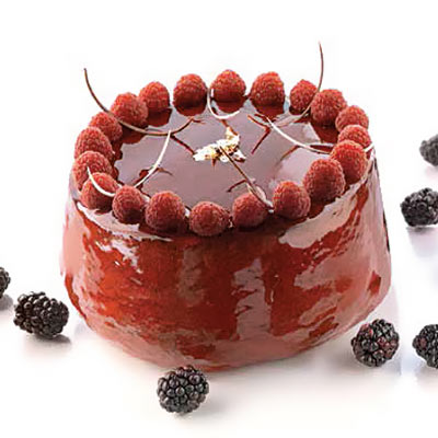 Silikomart Genoise Large Entremet Professional Silicon Mould