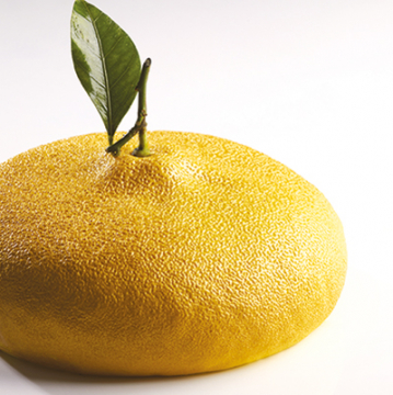 Pavoni Cedric Grolet Lemon Professional Silicon Cake Mould