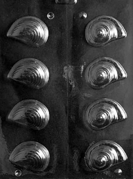 3D Shells Chocolate Mould