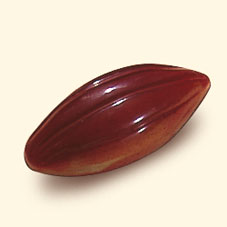 Cacao Barry Cocoa Pod Praline Polycarbonate Chocolate Mould