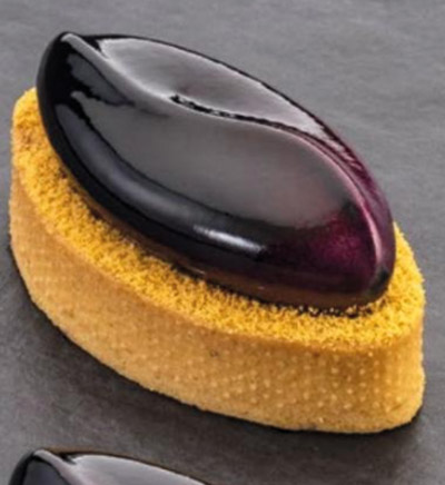 Pavoflex Shell Professional Silicon Mould
