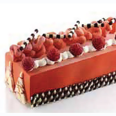 Silikomart 50 x 7 Tronco 60:40 Professional Silicon Mould