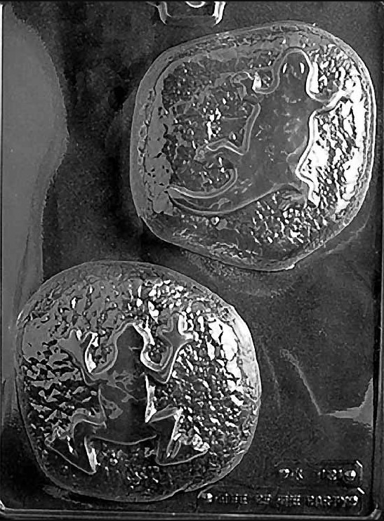 Reptile Rocks Chocolate Mould