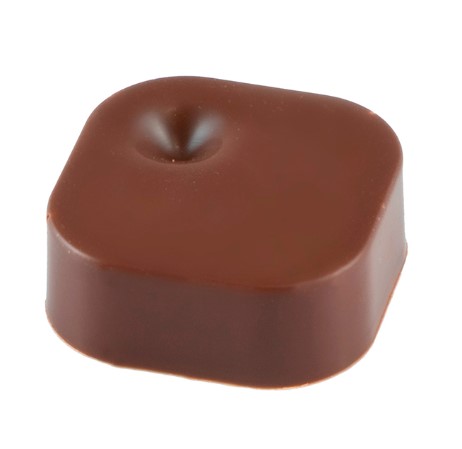 Martellato Polycarbonate Chocolate Mould