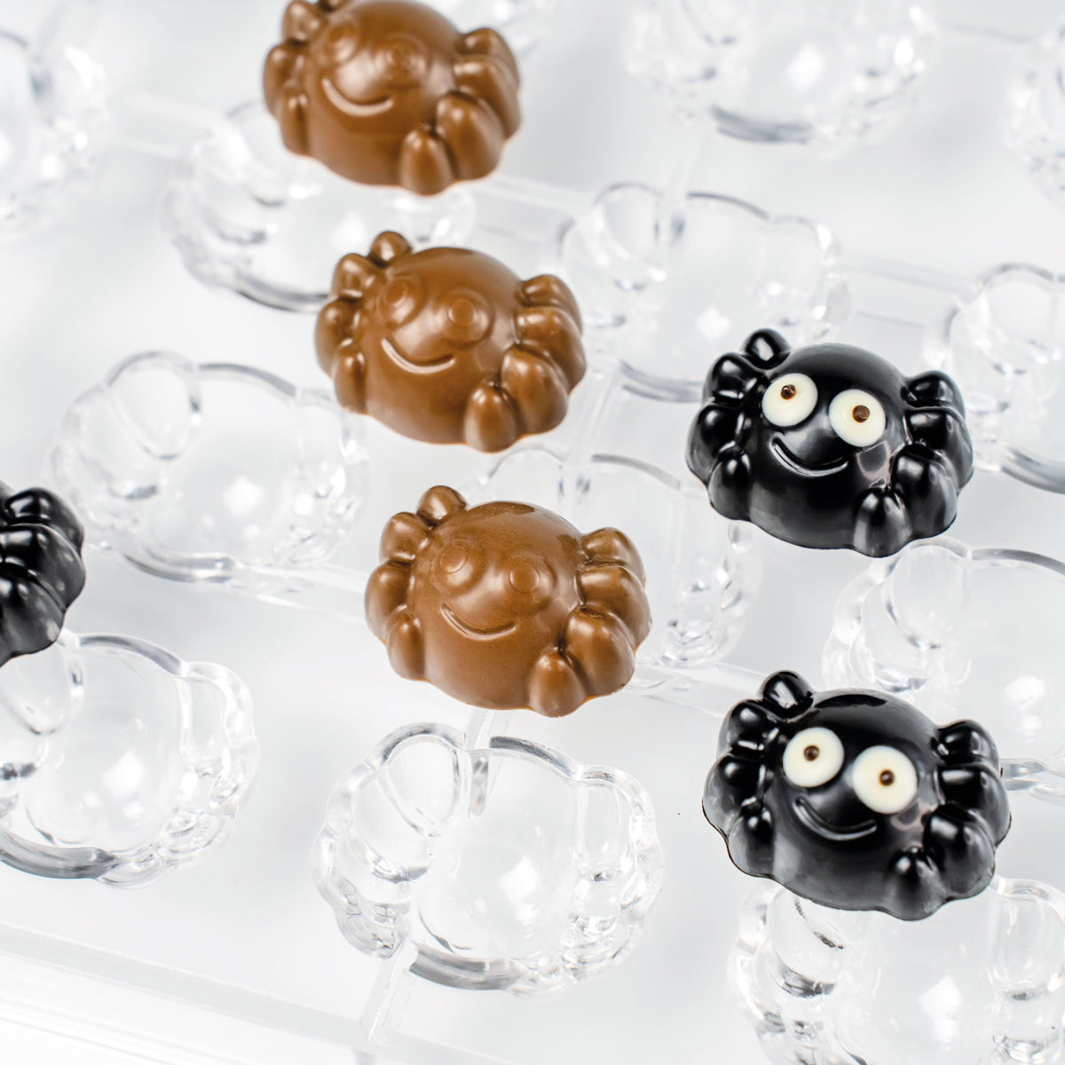 Whisky Spider Praline by Home Chocolate Factory - professional pastry and chocolate equipment