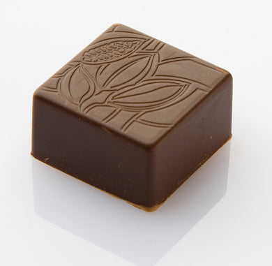 Chocolat Form Cocoa Pod Pattern Square Praline Polycarbonate Chocolate Mould by Home Chocolate Factory - professional pastry and chocolate equipment