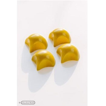 Chocolate World Praline Fan Polycarbonate Chocolate Mould Designed by Frank Haasnoot