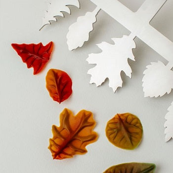 Frank Haasnoot Autumn Comb
