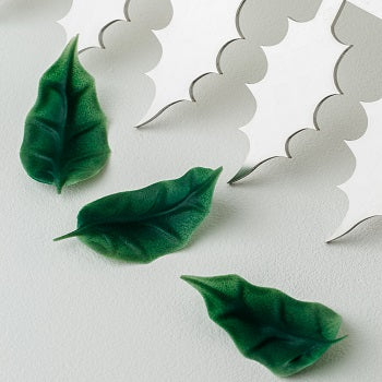 Frank Haasnoot Small Holly Leaf Comb