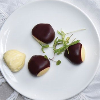 Pavoni Gourmand Chestnut Professional Silicon Mould by Home Chocolate Factory - professional pastry and chocolate equipment