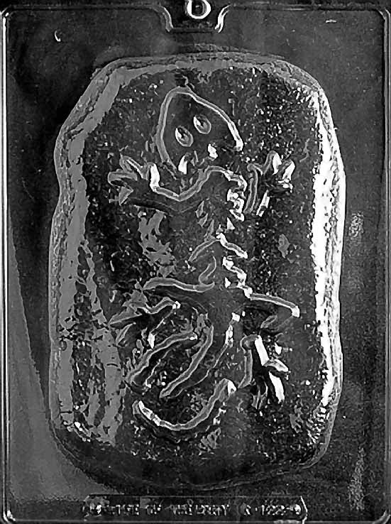 Dinosaur Fossil Chocolate Mould by Home Chocolate Factory - professional pastry and chocolate equipment