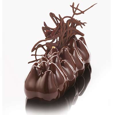 Pavoni Anenome Professional Silicon Cake Mould by Emmanuele Forcone by Home Chocolate Factory - professional pastry and chocolate equipment