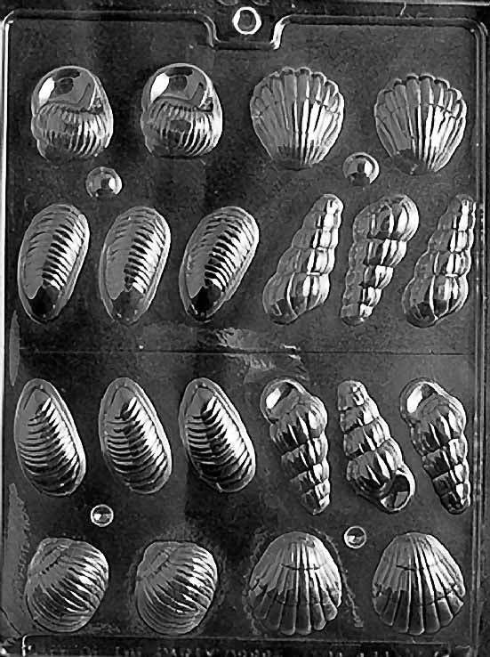 Sea Shell Assortment Chocolate Mould by Home Chocolate Factory - professional pastry and chocolate equipment