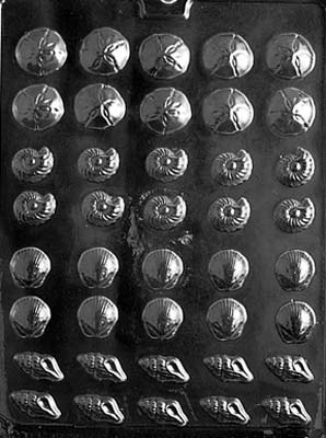 Tiny Shell Assortment Chocolate Mould by Home Chocolate Factory - professional pastry and chocolate equipment