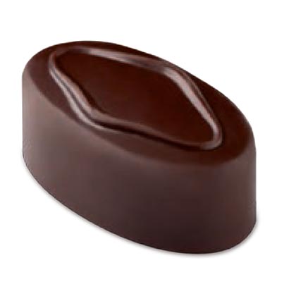 Pavoni 'Roar' Polycarbonate Praline Chocolate Mould by Home Chocolate Factory - professional pastry and chocolate equipment