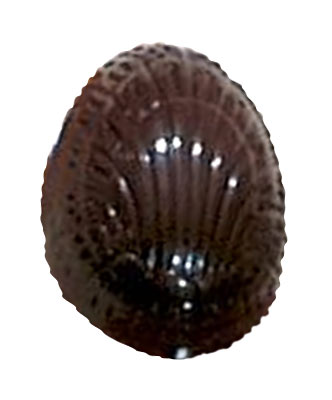 Cacao Barry 33mm Striped Small Easter Egg Polycarbonate Chocolate Mould by Home Chocolate Factory - professional pastry and chocolate equipment