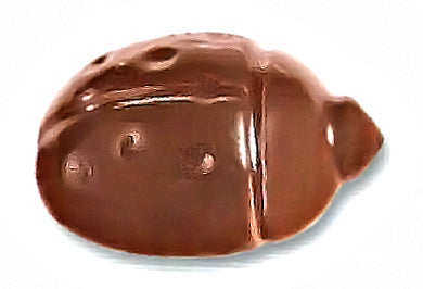 Cabrellon Ladybird Polycarbonate Chocolate Mould by Home Chocolate Factory - professional pastry and chocolate equipment