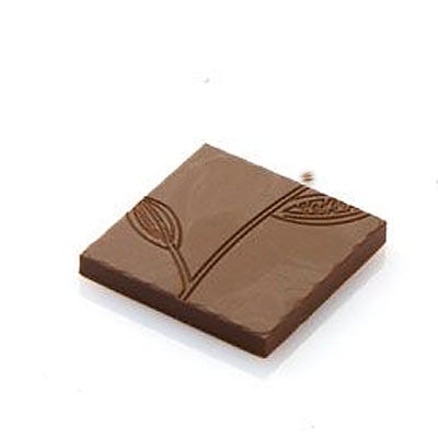 Chocolat Form 5 g Cocoa Leaf Pattern Tasting Bar Polycarbonate Chocolate Mould by Home Chocolate Factory - professional pastry and chocolate equipment