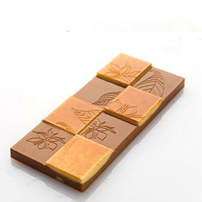 Chocolat Form 50g Cocoa Leaf Pattern Bar Polycarbonate Chocolate Mould by Home Chocolate Factory - professional pastry and chocolate equipment
