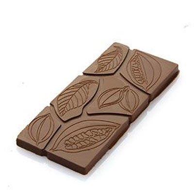 Chocolat Form 30g Cocoa Leaf & Pod Bar Polycarbonate Chocolate Mould by Home Chocolate Factory - professional pastry and chocolate equipment