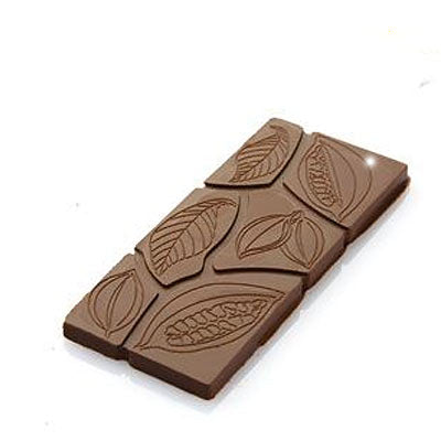 Chocolat Form 50g Cocoa Pod Segment Pattern Bar Polycarbonate Chocolate Mould by Home Chocolate Factory - professional pastry and chocolate equipment