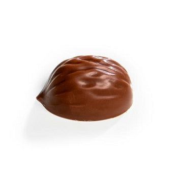 Martellato Walnut Praline Polycarbonate Chocolate Mould by Home Chocolate Factory - professional pastry and chocolate equipment