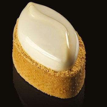 Pavoflex Shell Professional Silicon Mould