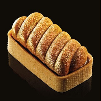 Pavoflex Spring Professional Silicon Mould