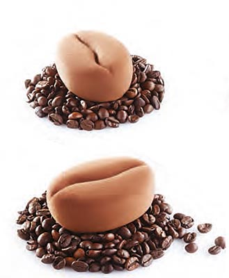 Pavoflex 'Moka' Professional Silicon Mould by Home Chocolate Factory - professional pastry and chocolate equipment