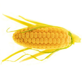 Silikomart Pannocchia 20 (Cob) Professional Silicon Mould