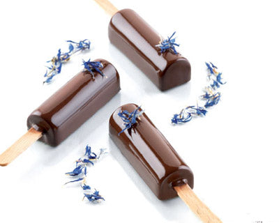 Silikomart Mini Pick Professional Lollipop Mould Kit by Home Chocolate Factory - professional pastry and chocolate equipment