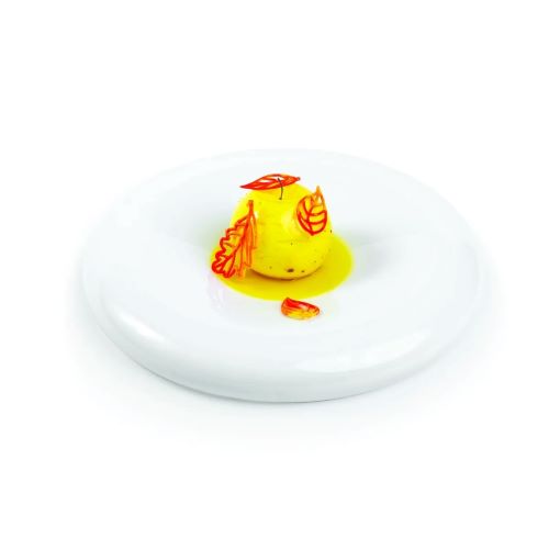 Silikomart Taiga Professional Silicon Mould