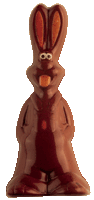 Cacao Barry Easter Rabbit Polycarbonate Chocolate Mould by Home Chocolate Factory - professional pastry and chocolate equipment