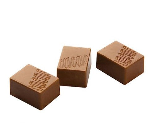 Chocolat Form Cocoa Logo Rectangular Praline Polycarbonate Chocolate Mould by Home Chocolate Factory - professional pastry and chocolate equipment